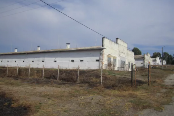 Бизнес по выращиванию, забою и переработке птицы